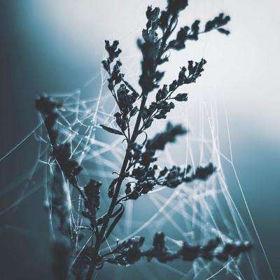 乐鱼体育APP下载安装