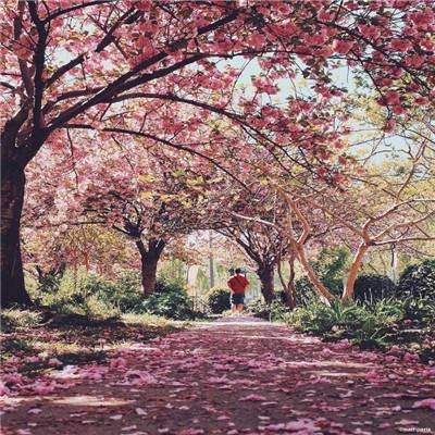 bte365真正的网站