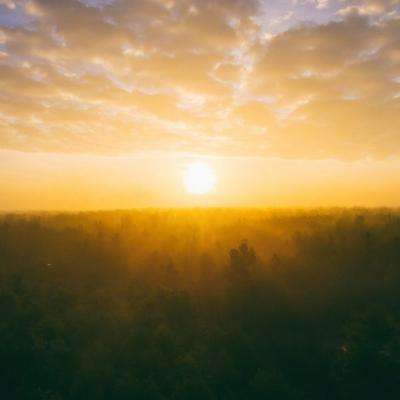 ob体育手机app下载