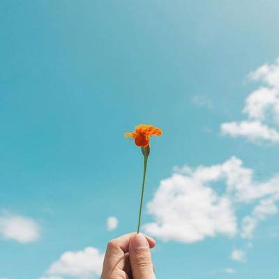 乐鱼(中国)官方网站