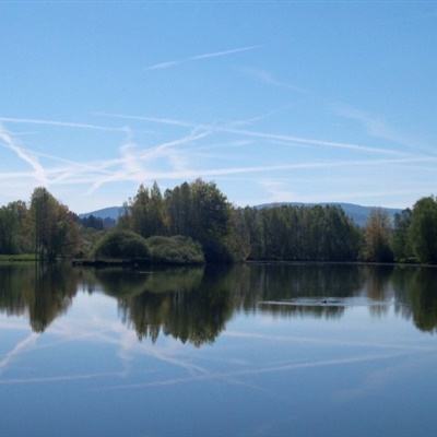 域网棋牌下载手机版