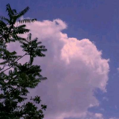 巴博体育官网安卓下载